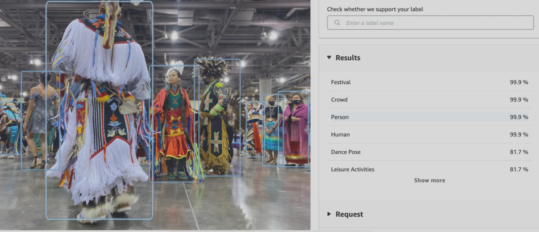 Image of a labels from a popular image recognition app identifying an American Indian Powwow